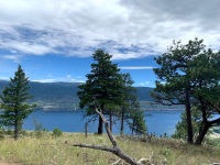 Looking west down on Okanagan lake, I have been continuing the regular climbs up Giant's head, it's a workout for sure! But what other gym has chipmunks, hawks, and views like this?